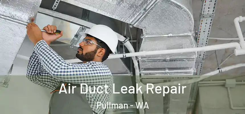  Air Duct Leak Repair Pullman - WA