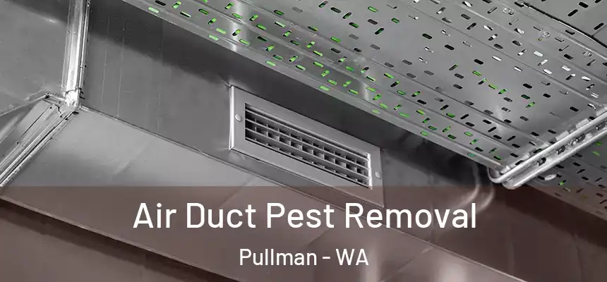 Air Duct Pest Removal Pullman - WA