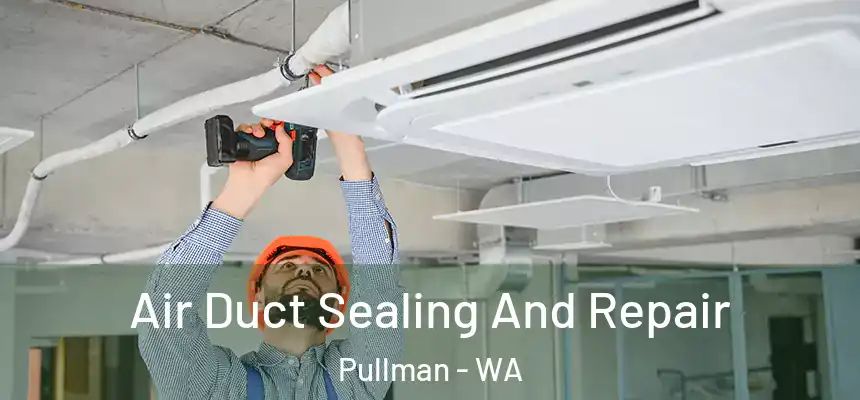  Air Duct Sealing And Repair Pullman - WA