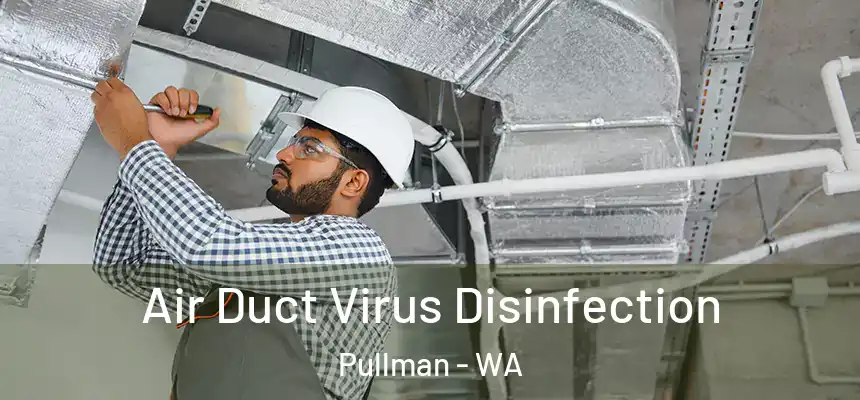 Air Duct Virus Disinfection Pullman - WA