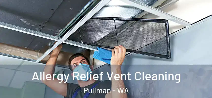  Allergy Relief Vent Cleaning Pullman - WA