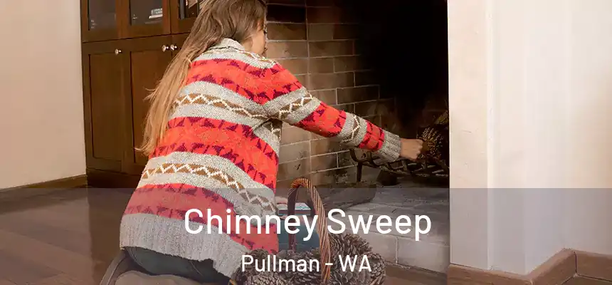  Chimney Sweep Pullman - WA