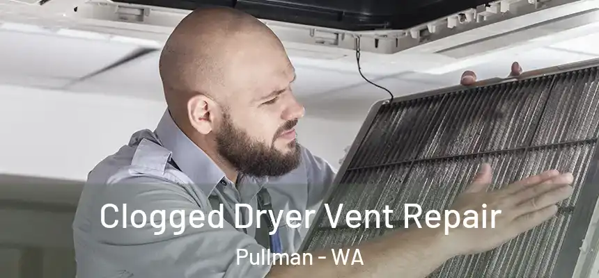  Clogged Dryer Vent Repair Pullman - WA