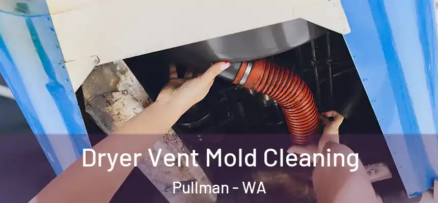 Dryer Vent Mold Cleaning Pullman - WA