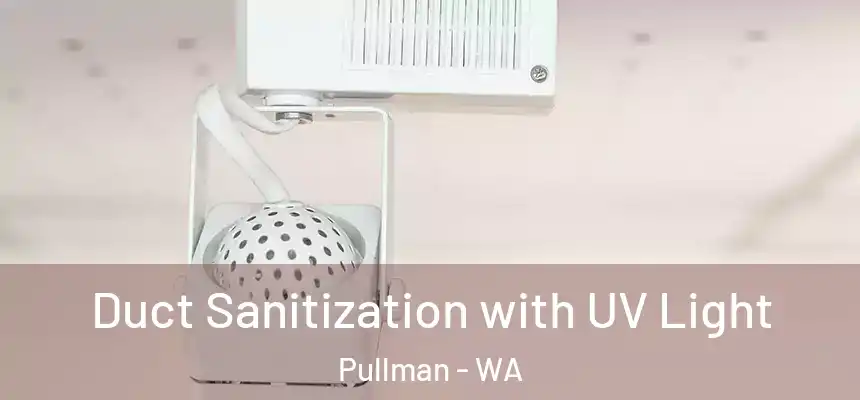 Duct Sanitization with UV Light Pullman - WA