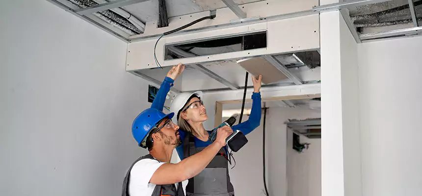 Our Air Duct Virus Disinfection Services in Pullman, WA