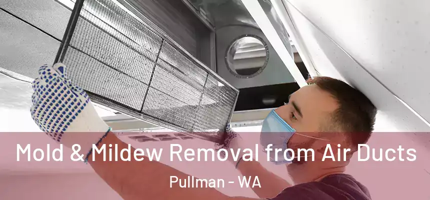  Mold & Mildew Removal from Air Ducts Pullman - WA