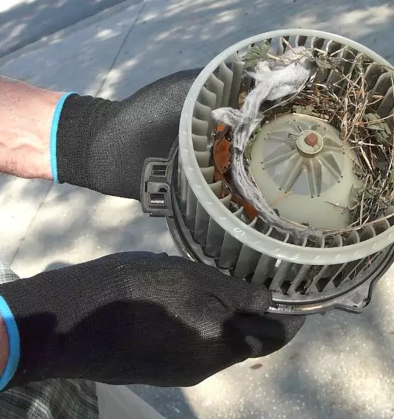 About Air Duct Mice Removal in Pullman, WA