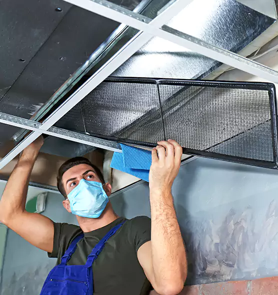 Professional Air Duct Pollen Cleaning in Pullman, WA