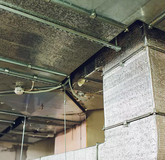 Why Homeowners & Businesses Trust Us in Pullman, WA?